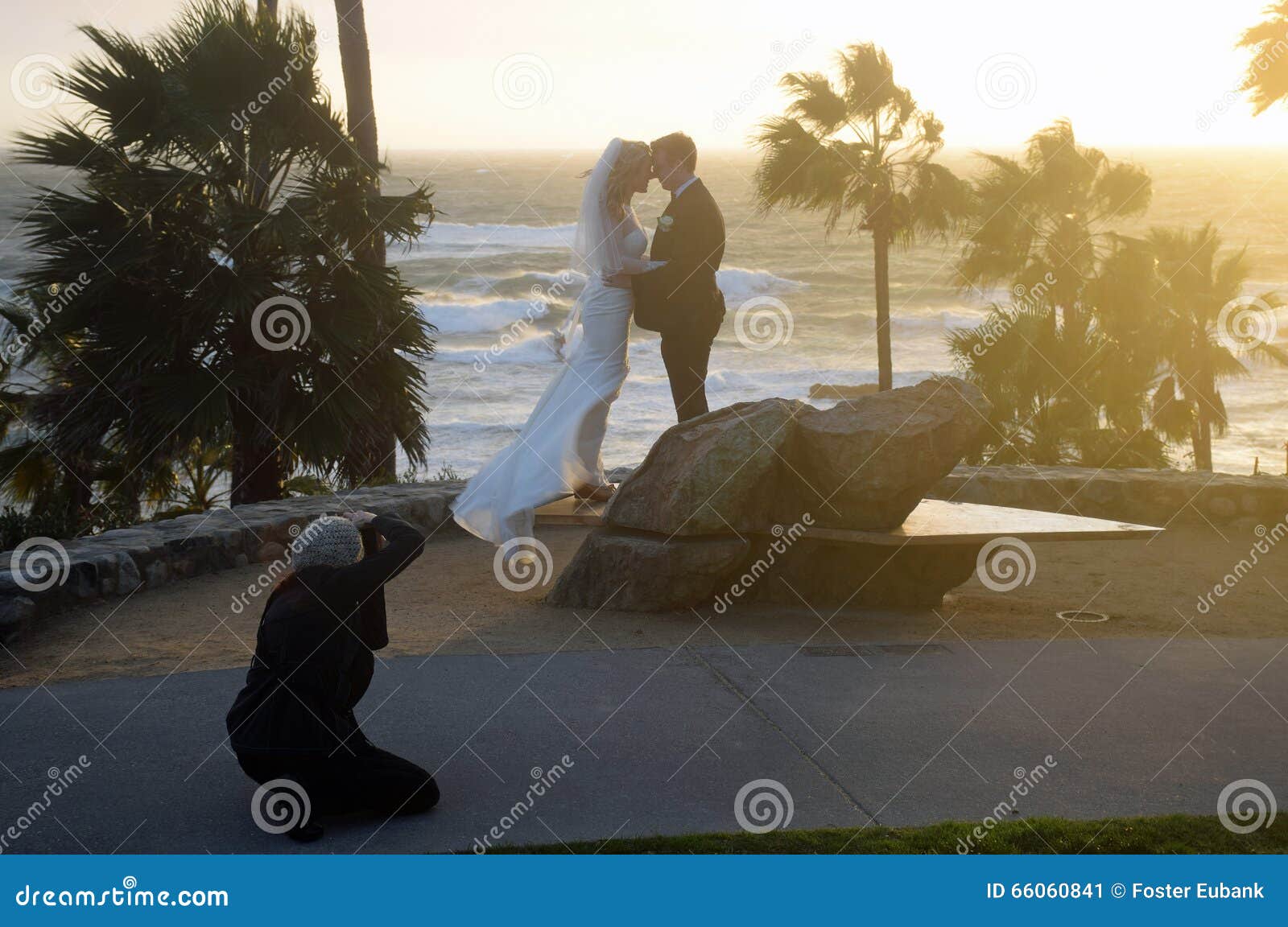 Wedding In Heisler Park Laguna Beach Ca Editorial Photo Image Of