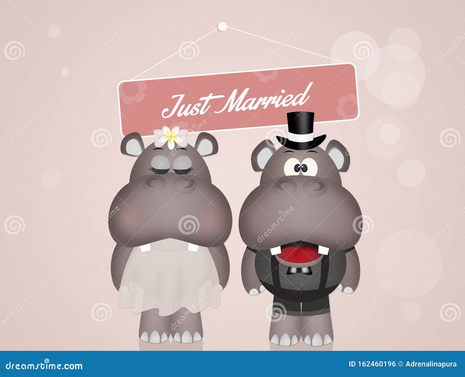 Wedding Of Hippos Stock Illustration Illustration Of Couple 162460196 wedding-of-hippos-stock-illustration-illustration-of-couple-162460196