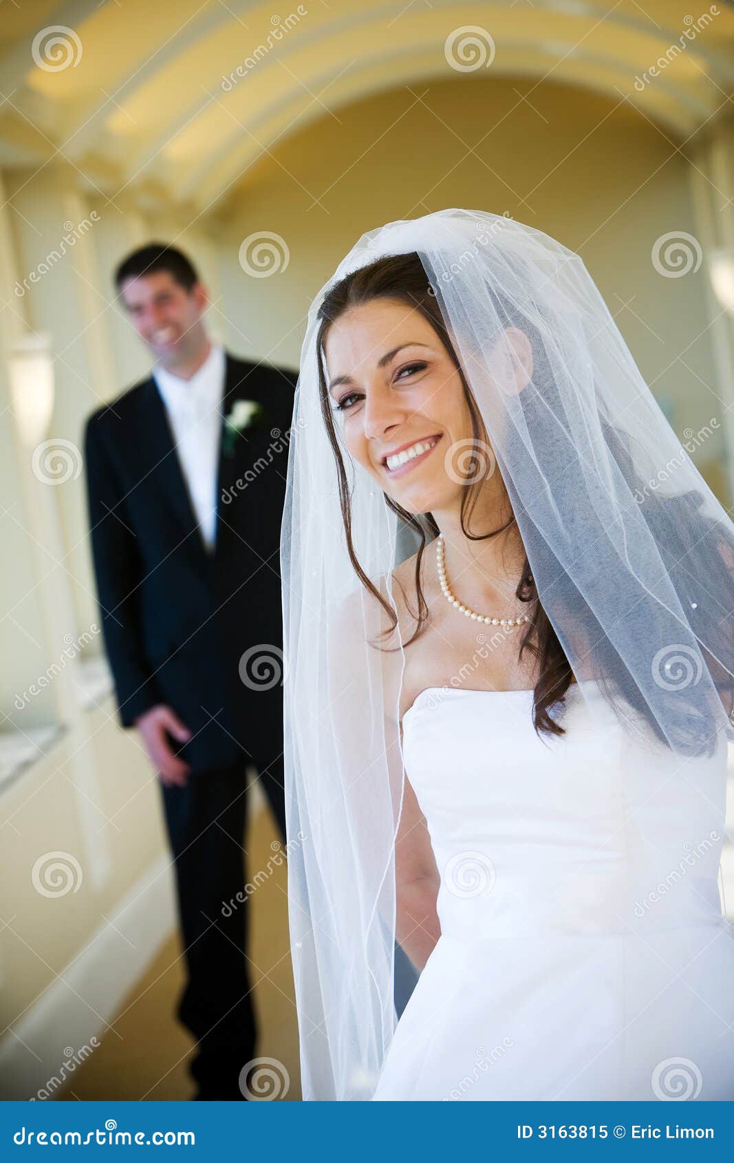 Wedding husband and wife stock image. Image of husband - 3163815