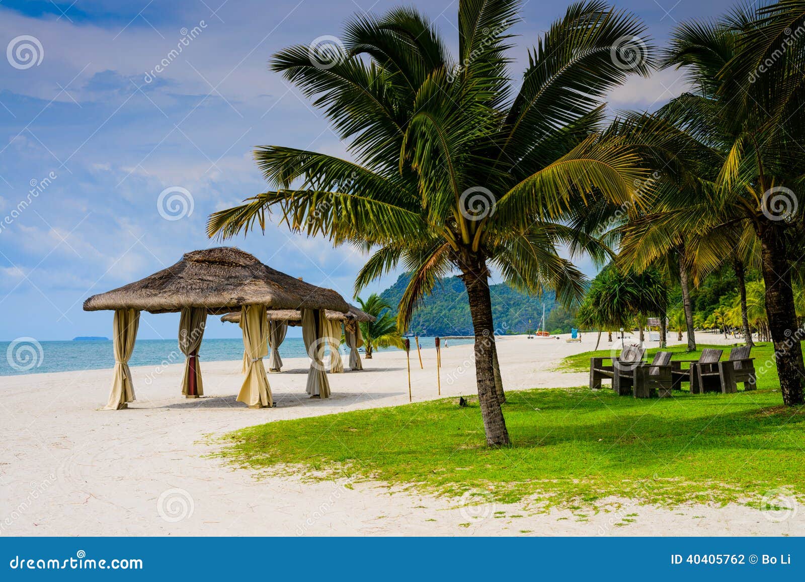 wedding hut and palm tree on the beach