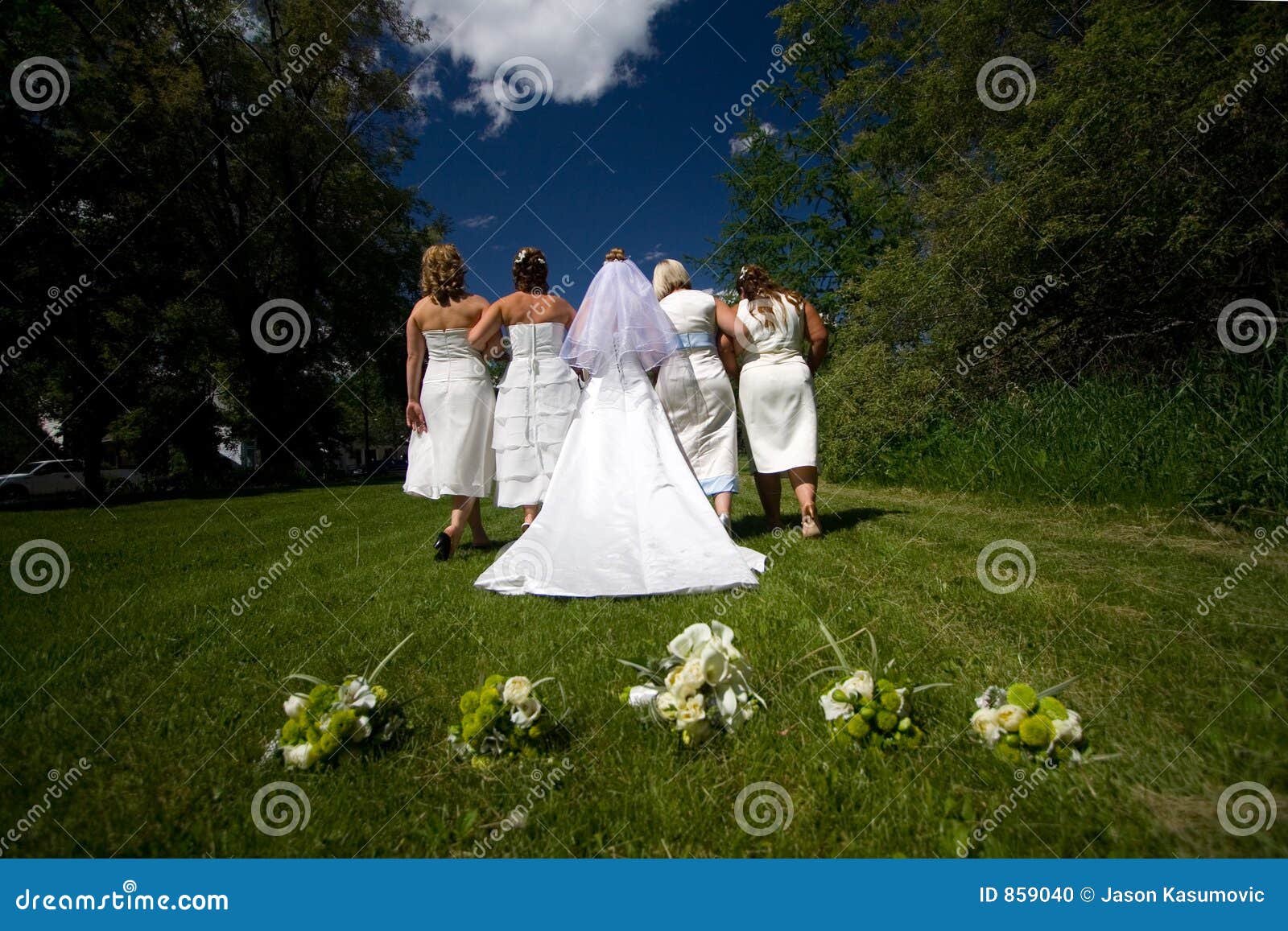 Wedding March stock photo. Image of outside, bride, bridesmaids 859040
