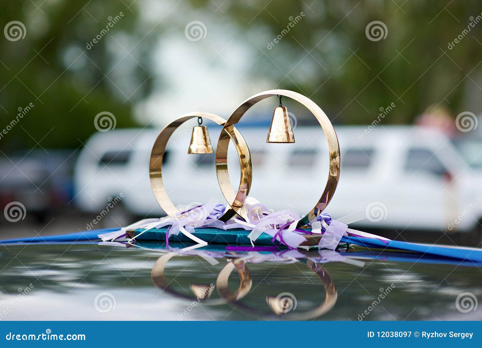 Wedding ornament by rings stock image. Image of success - 12038097