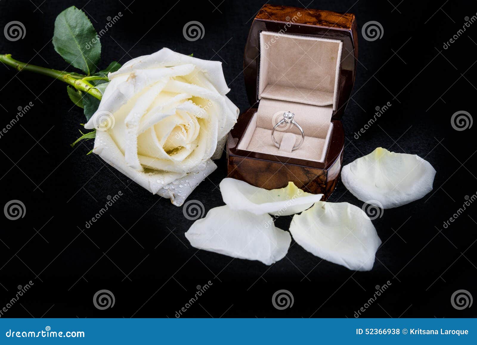 Wedding Ring in Box with White Rose Flower on Black Background Stock