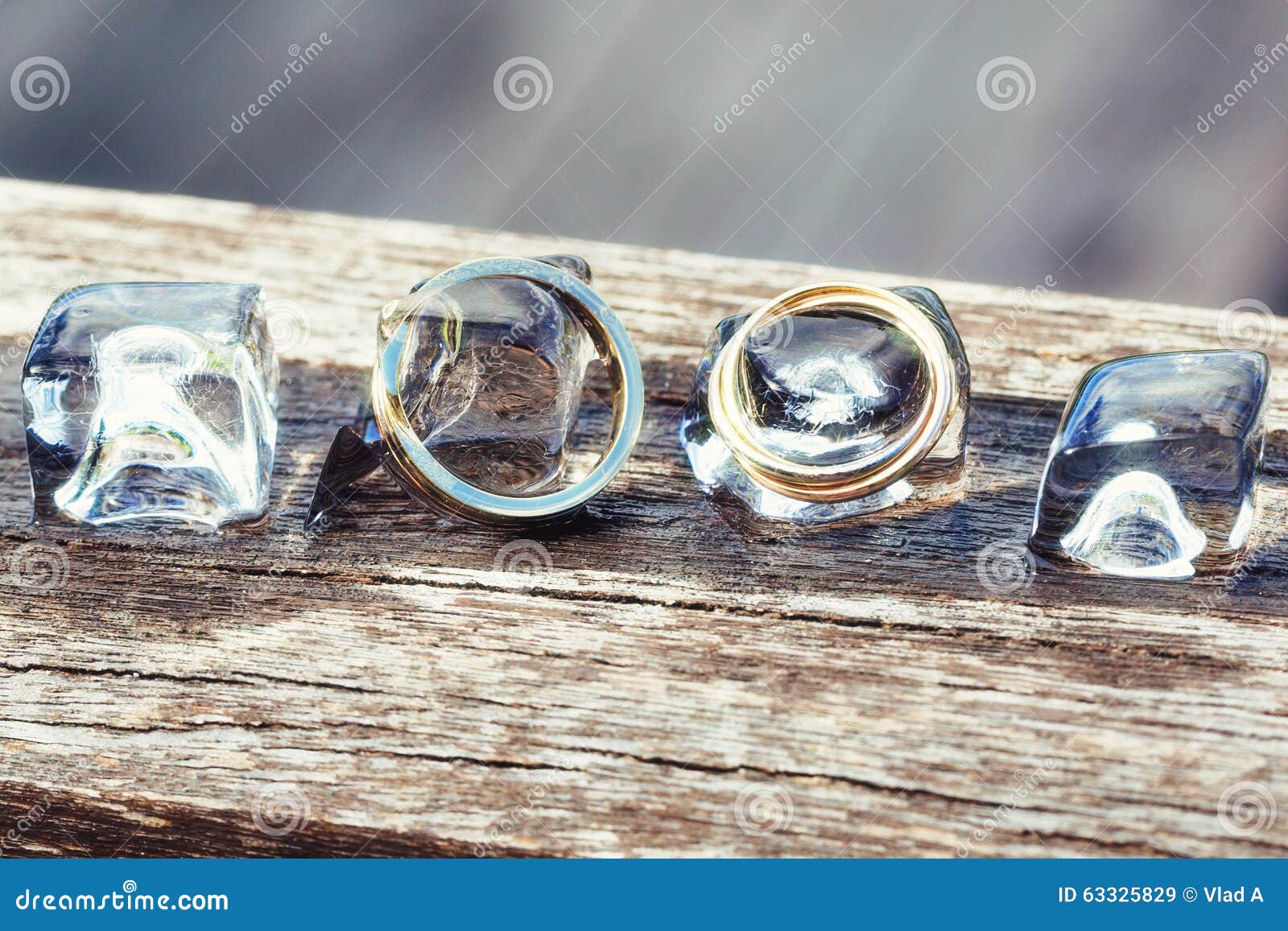 Wedding Ring with Ice Cubes Stock Image Image of celebration, macro