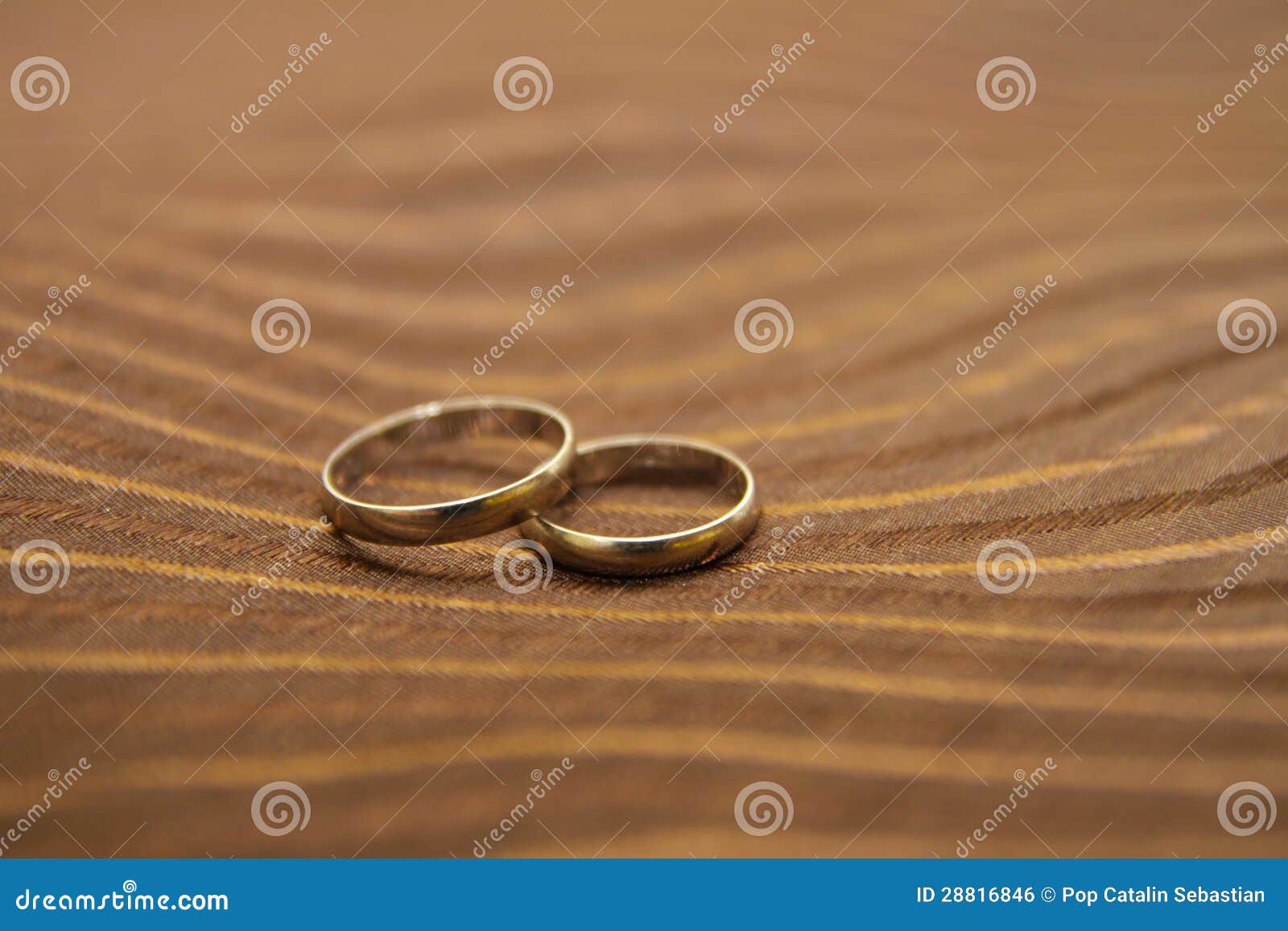 Wedding rings stock photo. Image of closeup, bride, gold - 28816846