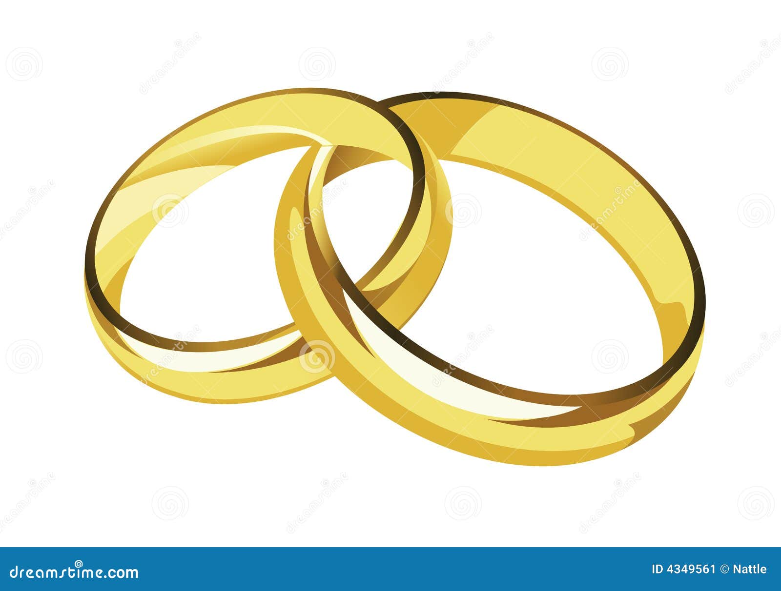  Wedding  rings  stock vector Illustration of honeymoon 