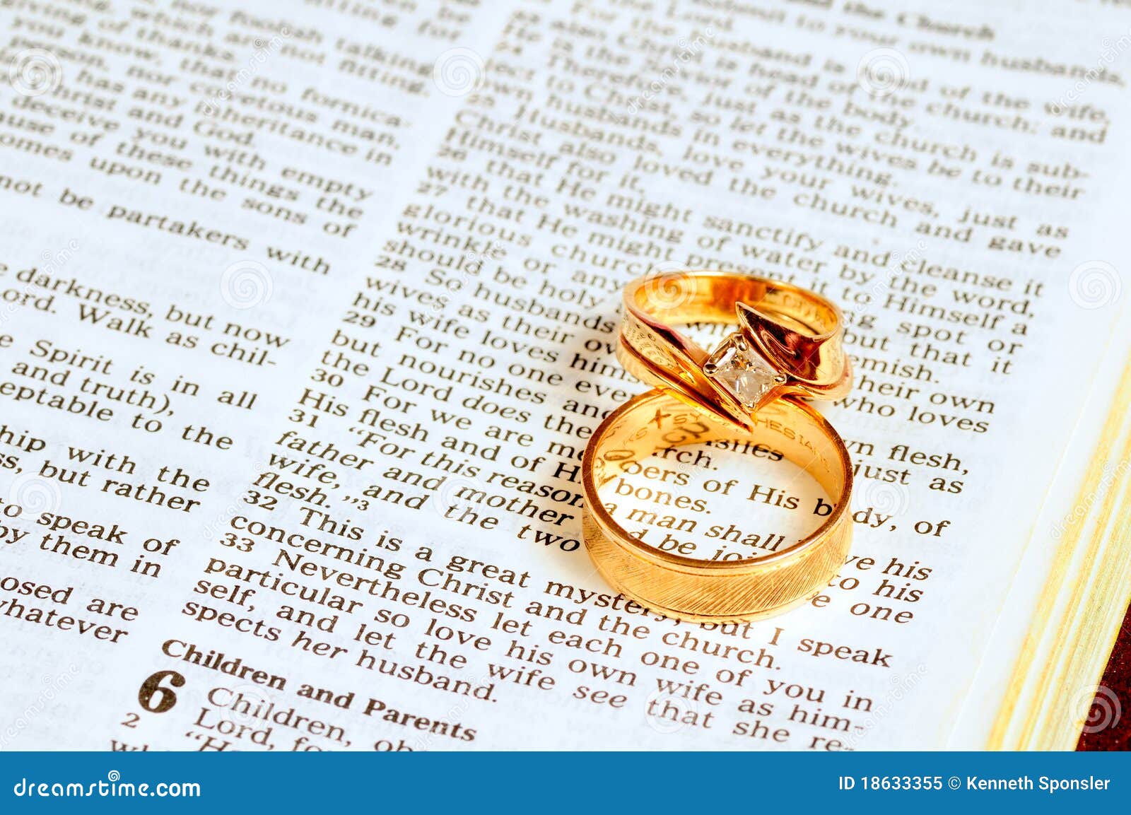 Wedding rings on Bible stock image. Image of page, precepts 18633355