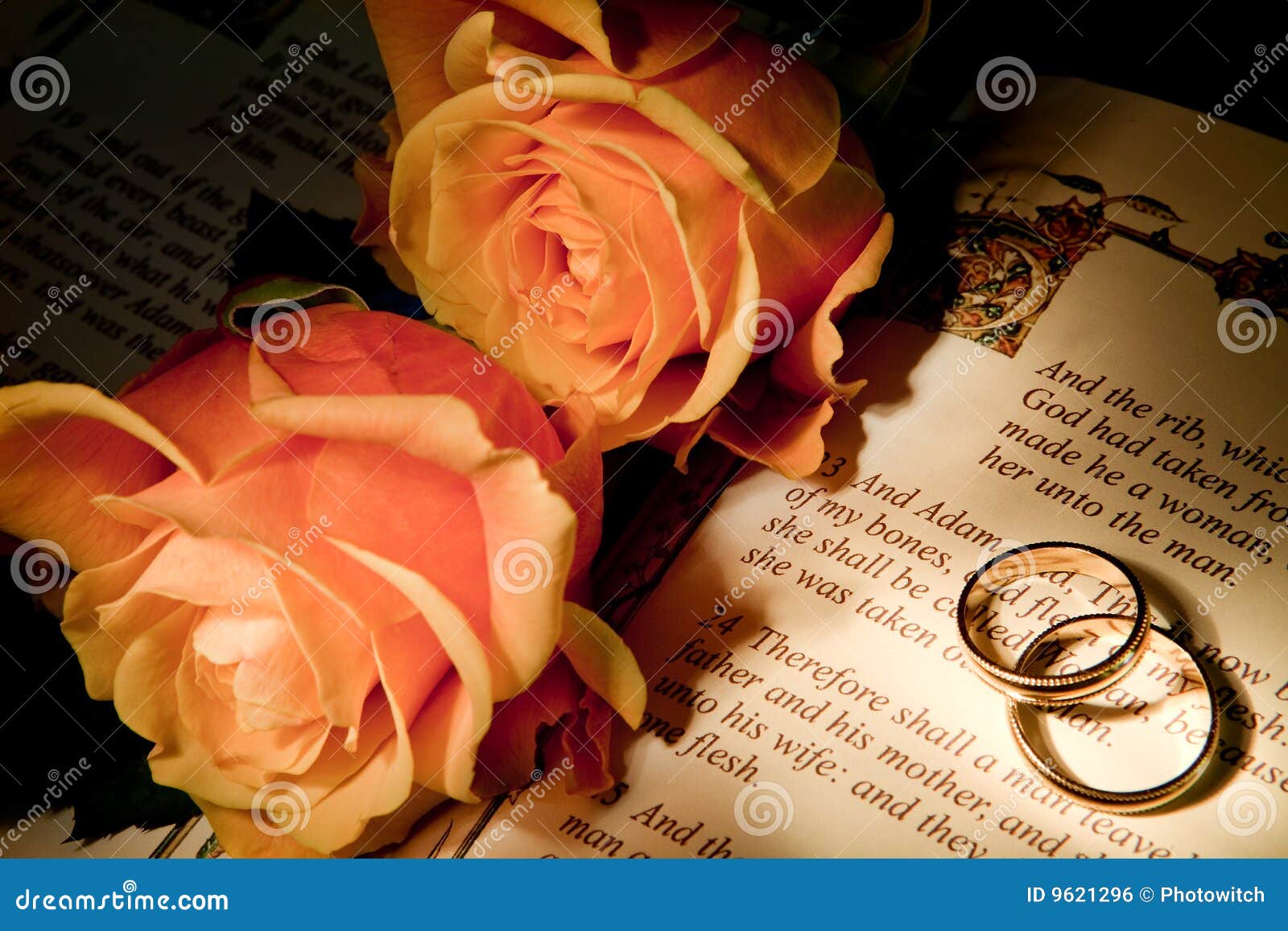 Wedding Rings on a Bible with the Genesis Text Stock Photo Image of