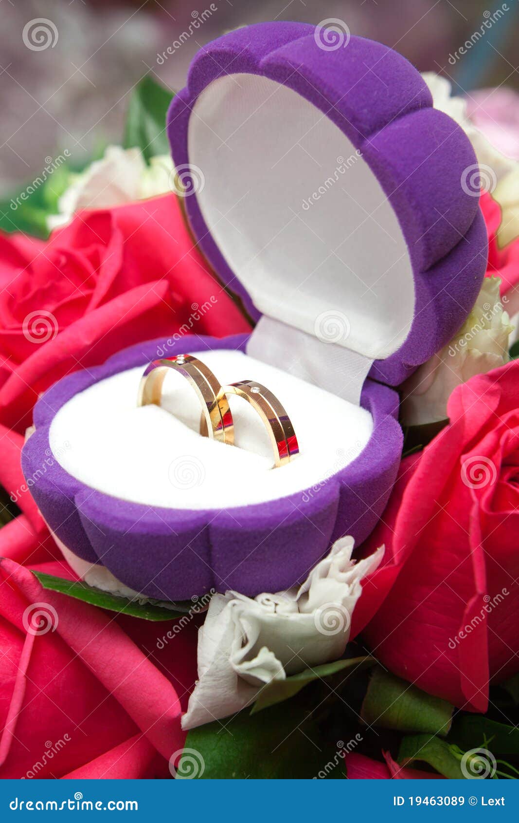 Wedding rings in a box stock image. Image of celebration - 19463089