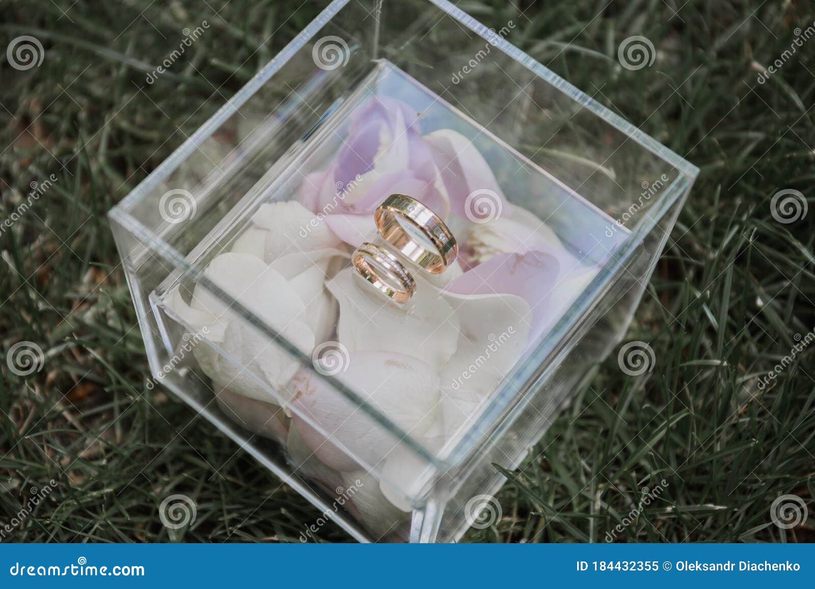 Wedding Rings in a Box at the Ceremony Stock Image Image of marriage