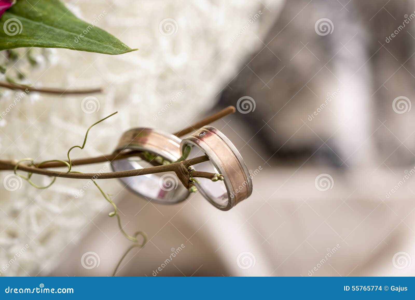 Wedding rings on branch stock photo. Image of matrimony 55765774