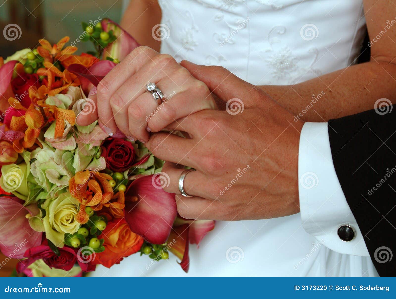 Wedding rings and flowers stock photo. Image of bands - 3173220