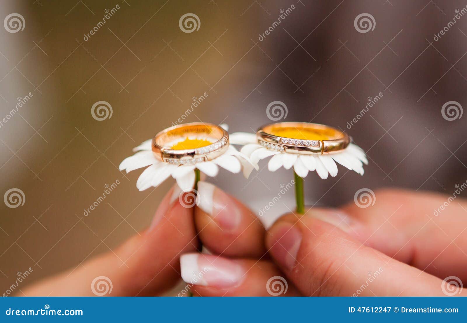 Wedding rings on flowers stock image. Image of married 47612247