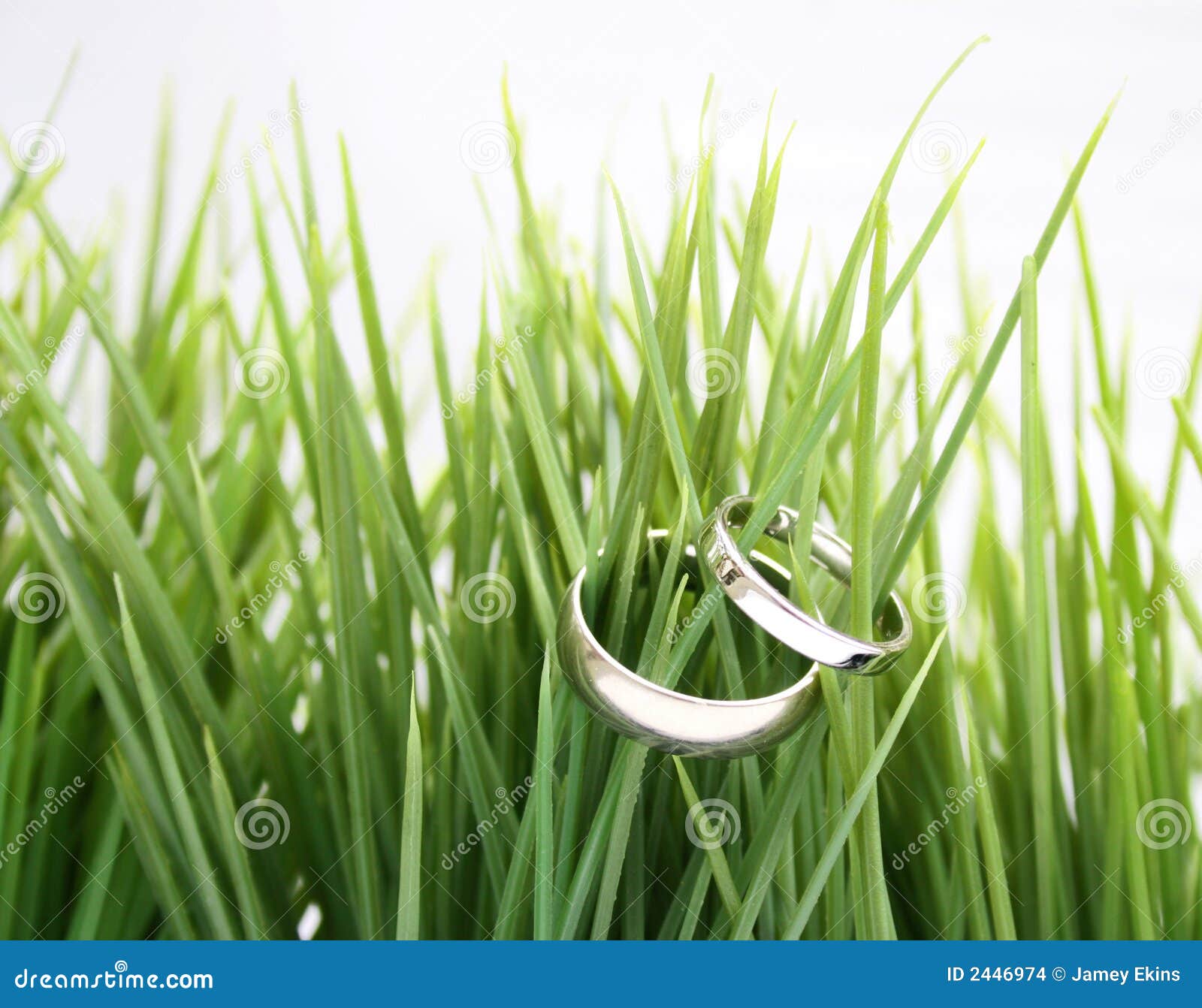 Wedding rings in the grass stock photo. Image of tied 2446974