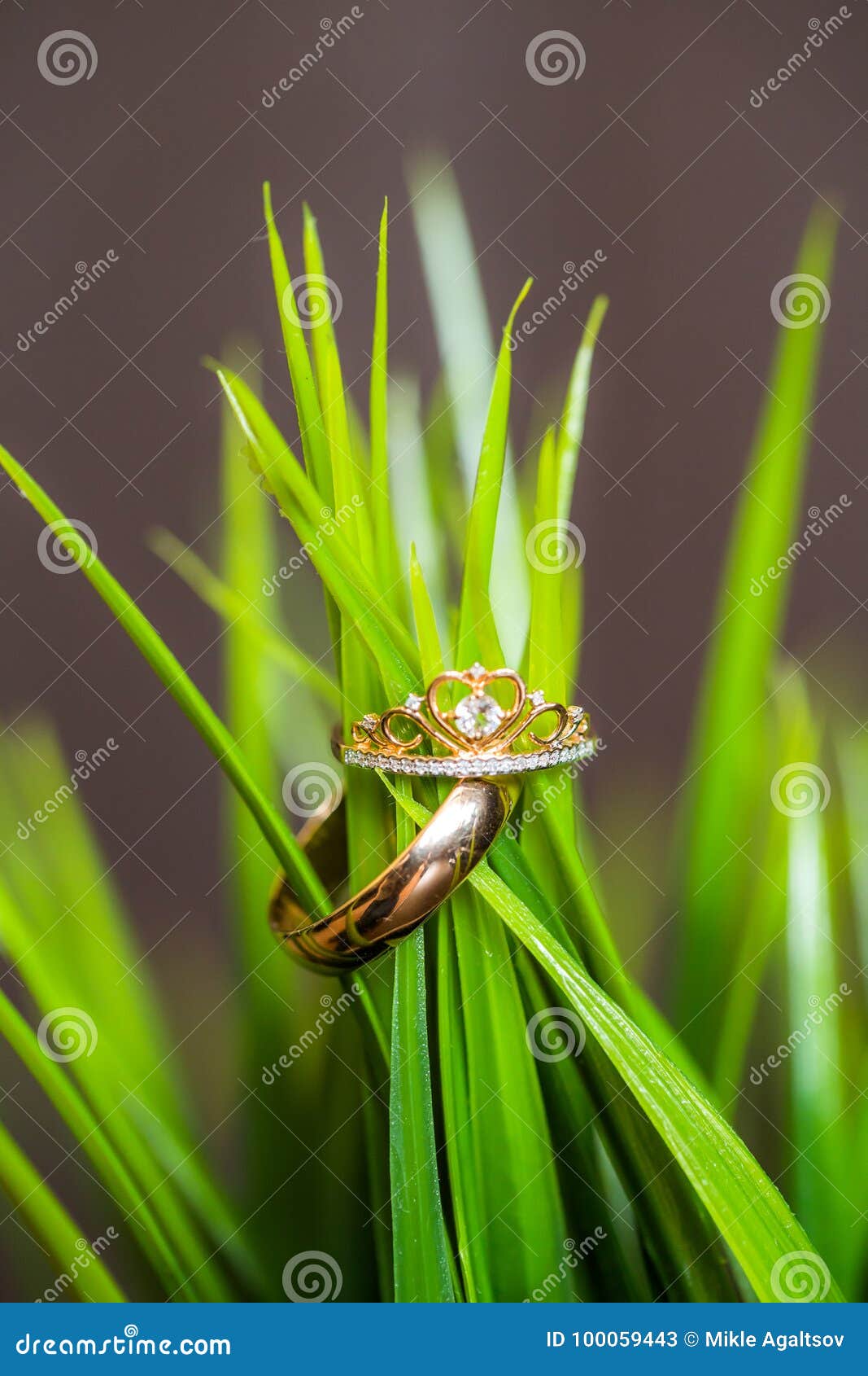 Wedding Rings in Green Grass in Studio, Daylight Stock Image Image of