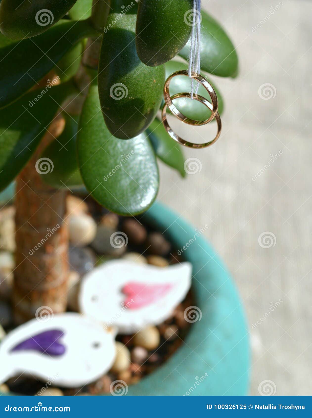 Wedding Rings On A Green Leaves Stock Image Image of