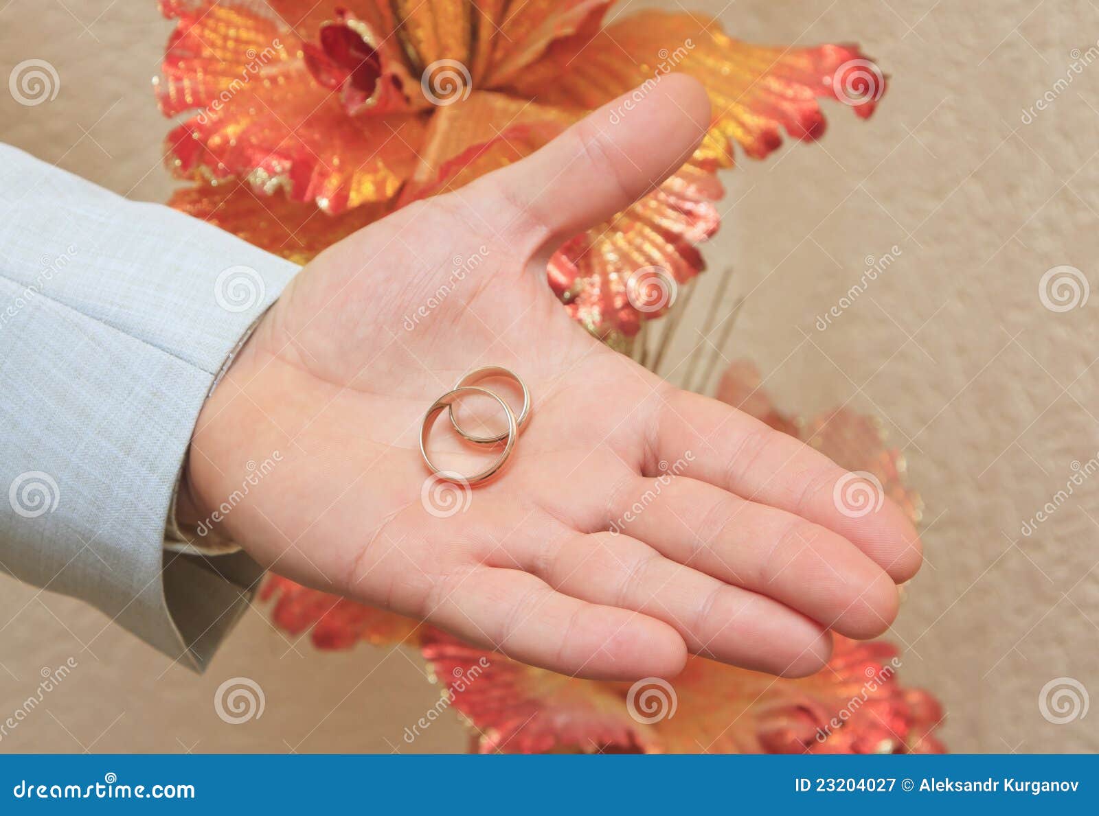 Wedding Rings on a Hand of the Groom Stock Image Image of hands