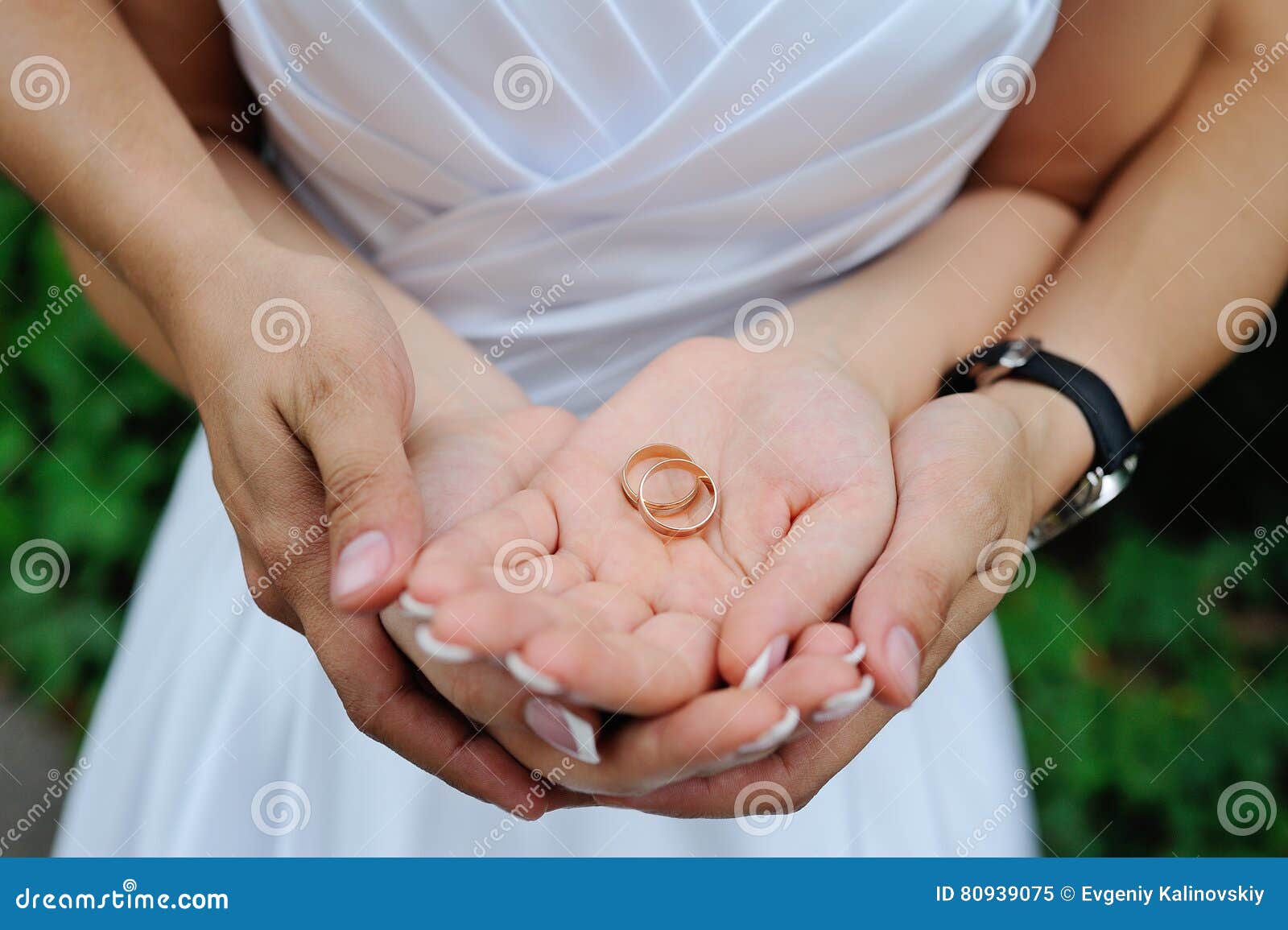 Wedding Rings in Hands of Newlyweds Stock Image Image of finger