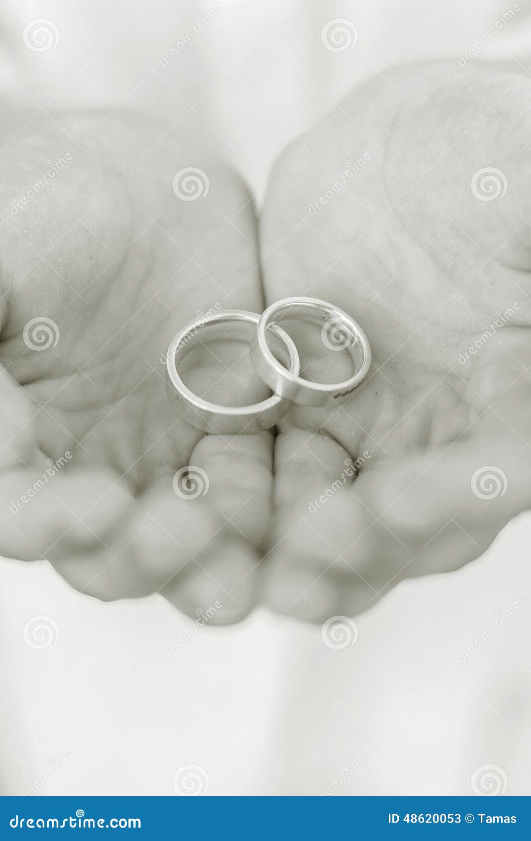 Wedding Rings In Hands Stock Photo  Image: 48620053