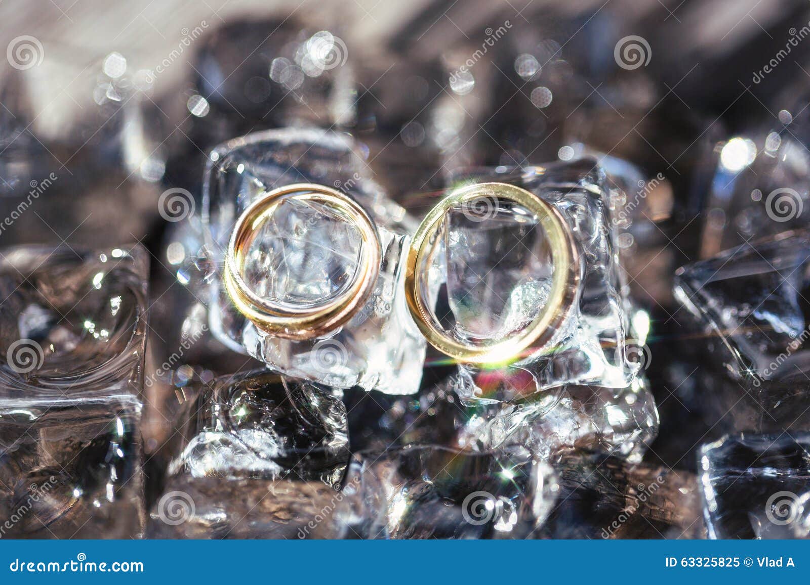 Wedding rings in ice cubes stock image. Image of celebration 63325825