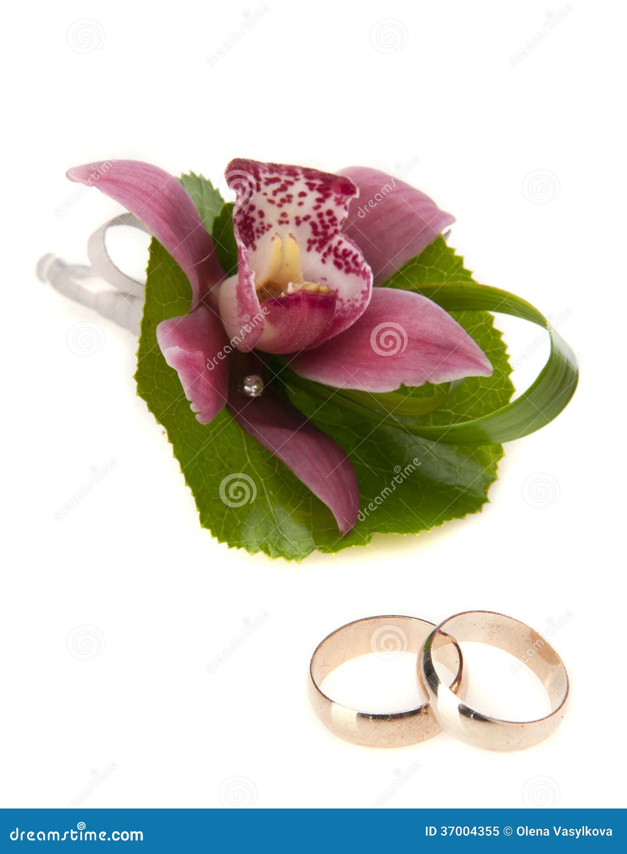 Wedding Rings and Orchid Flower Stock Image Image of love, gift 37004355