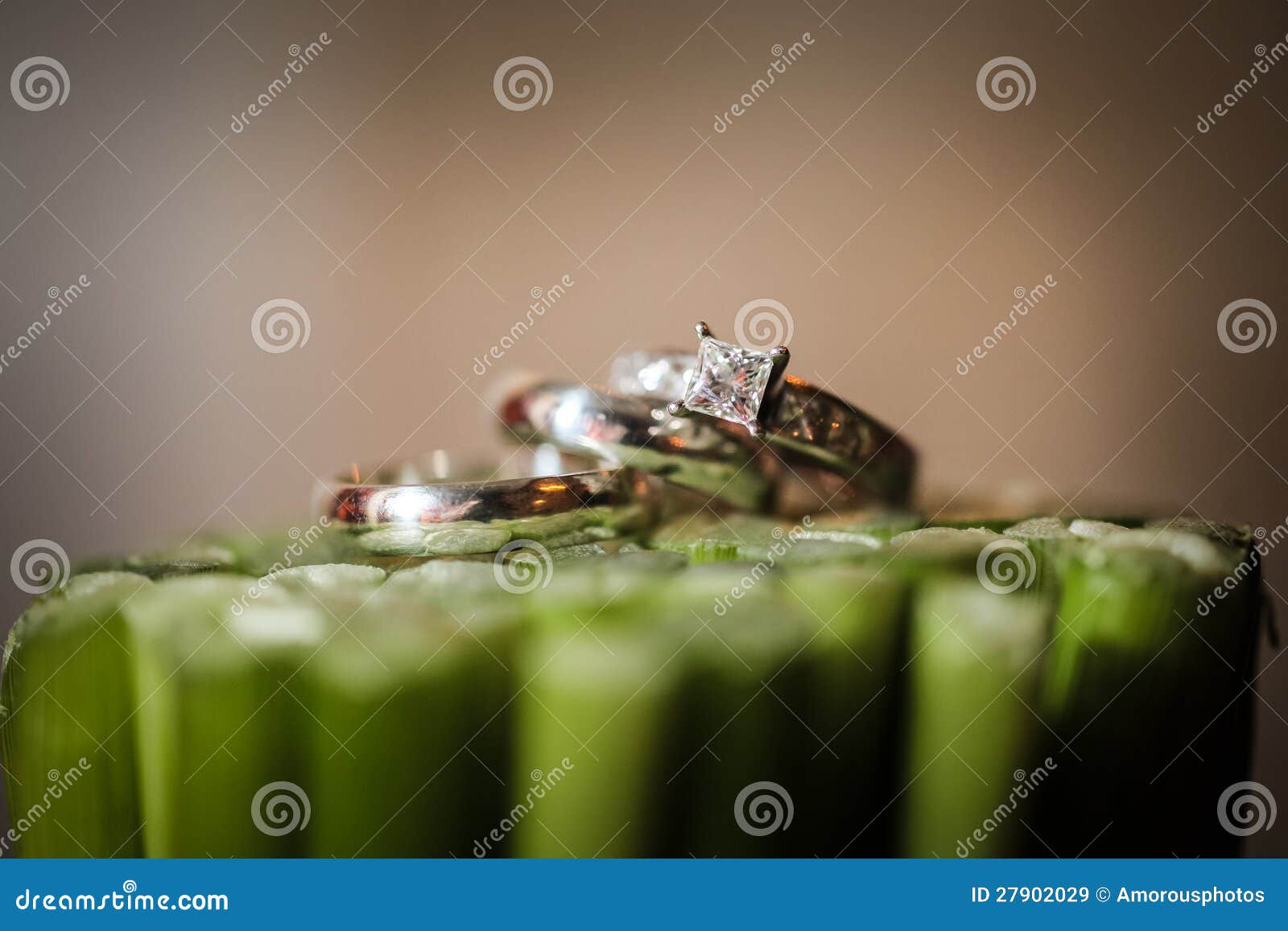 Wedding rings on plants stock image. Image of matrimonial 27902029