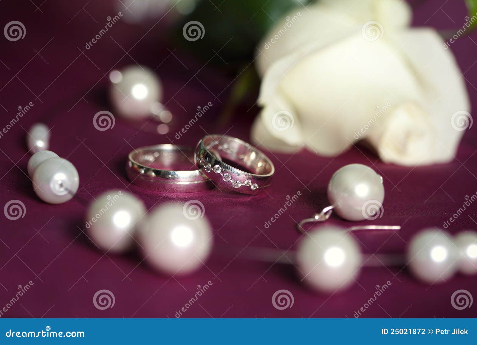 Wedding Rings On Purple Pillow Stock Photo Image of copy, holiday