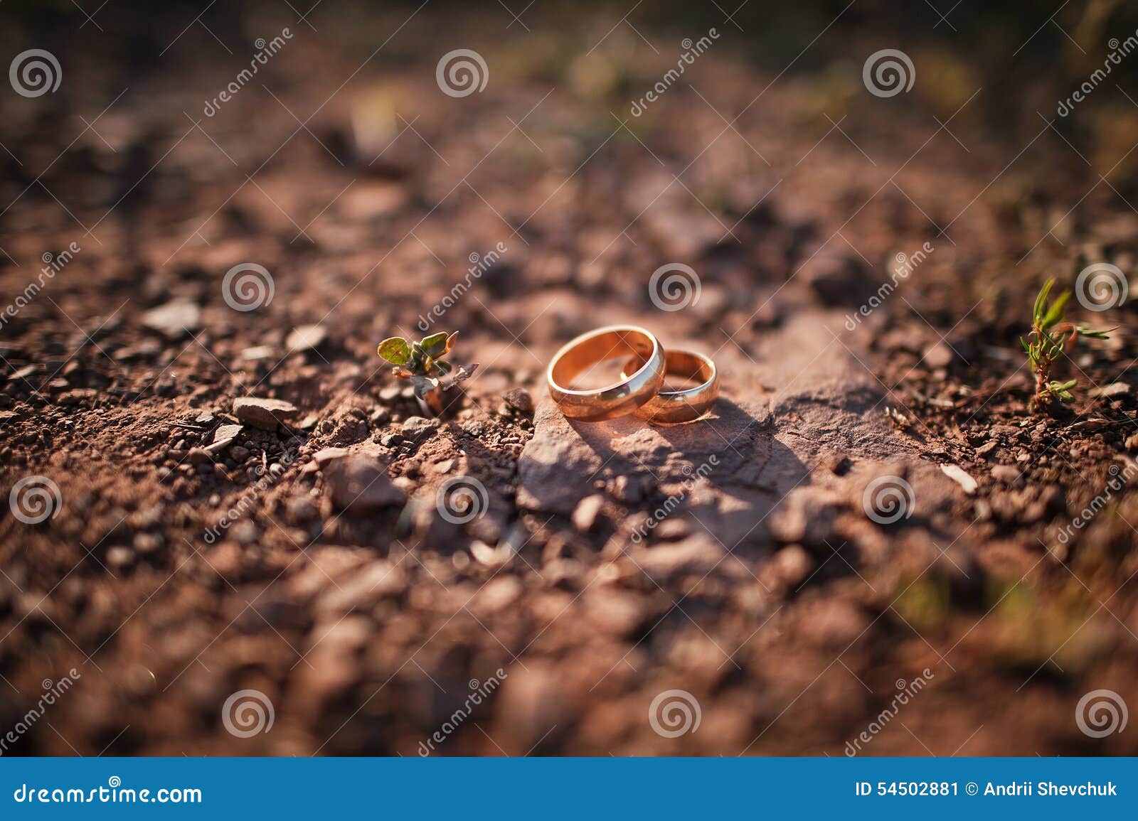 Wedding rings stock image. Image of moment, beautiful 54502881