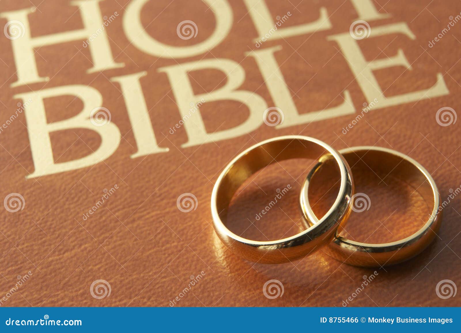 Wedding Rings Resting on a Bible Stock Photo Image of ceremony, color