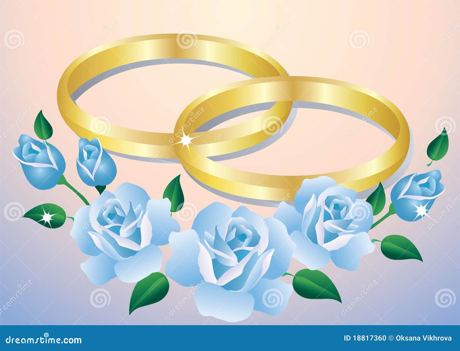 Wedding rings and roses. stock vector. Illustration of flower 18817360