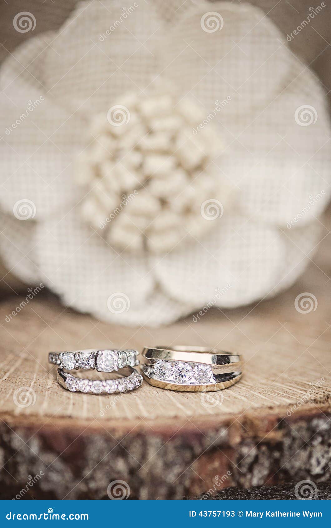 Wedding Rings Rustic Setting Stock Image Image of wood, setting 43757193