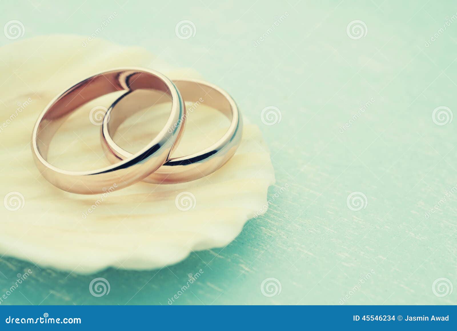 Wedding rings on seashell stock photo. Image of seashell 45546234
