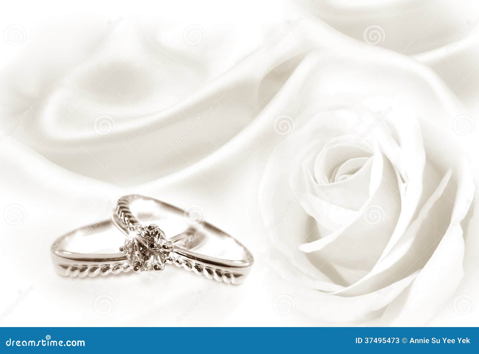 wedding rings and white rose