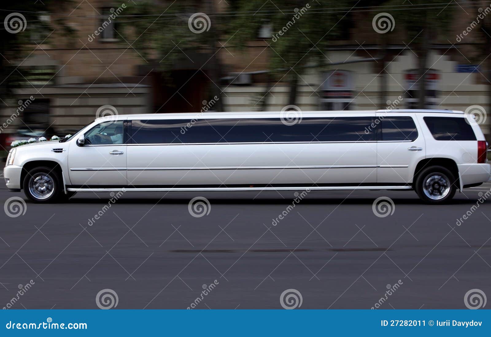  wedding limousine motion on the street, white luxury long car