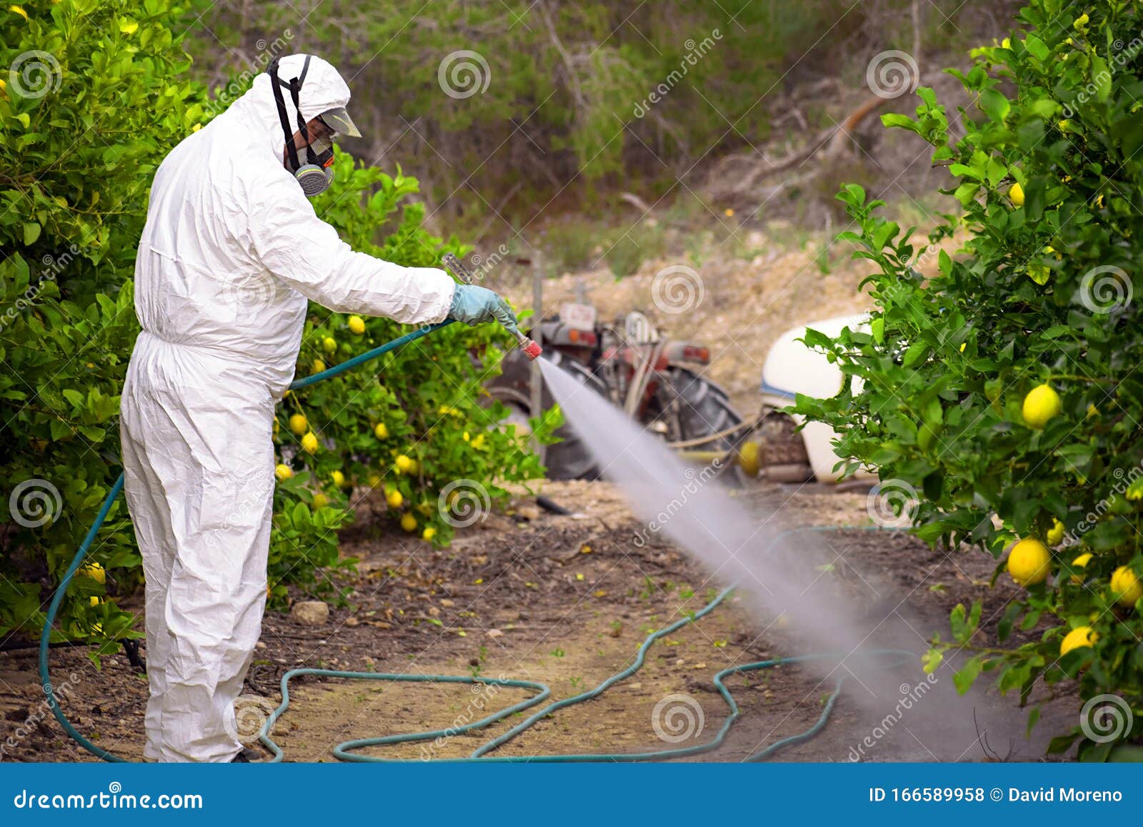 insecticides and pesticides insecticides and pesticides