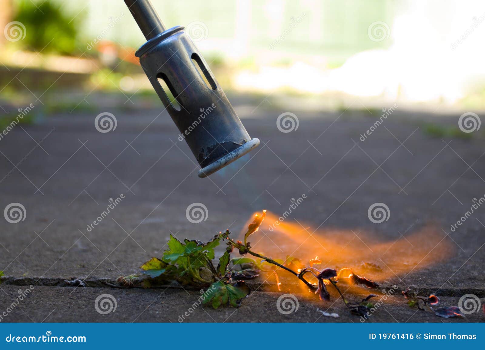 Weed Killer Royalty Free Stock Image Image 19761416