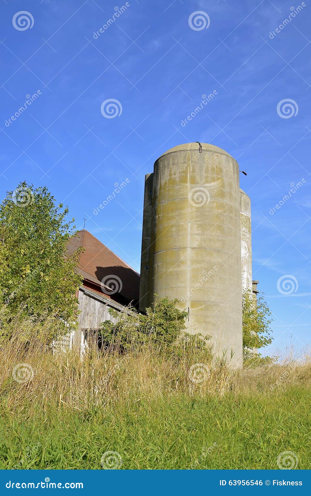 Weeds, Brush, and Long Grass Surround Old Barn Stock Photo Image of