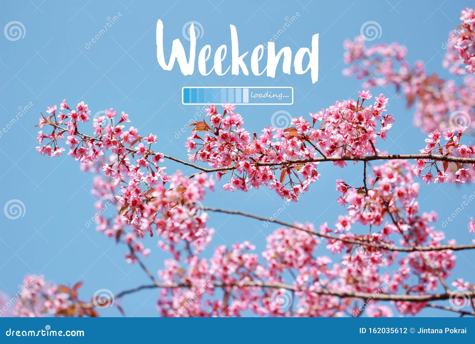 624 Weekend Loading Stock Photos - Free & Royalty-Free Stock ...