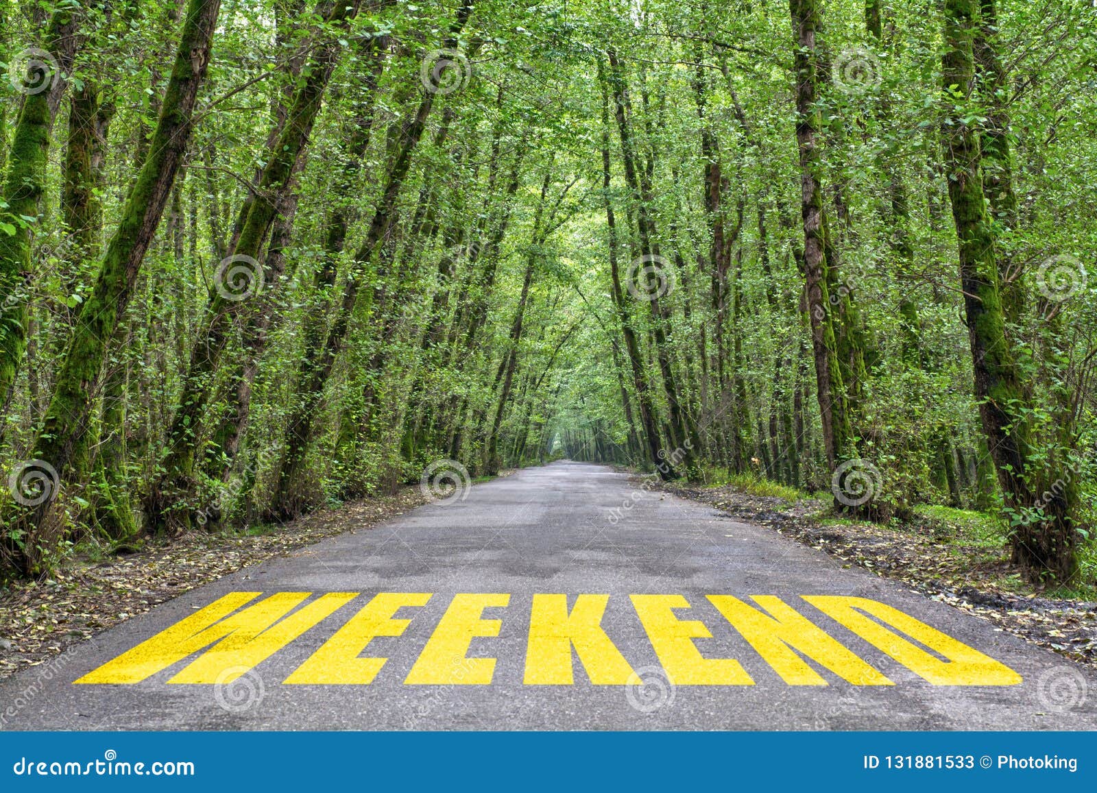 jungle road to weekend