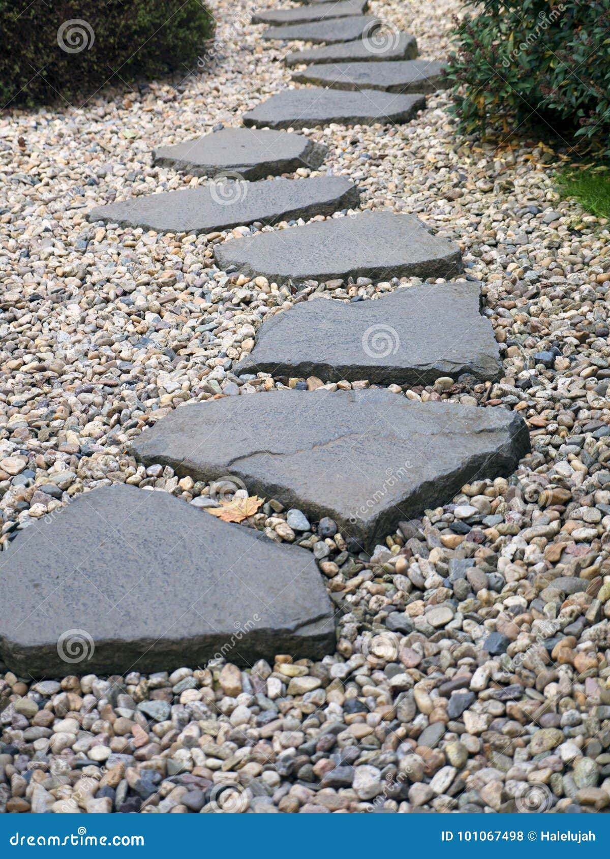 Kiesbett Im Garten Gartengestaltung Idee