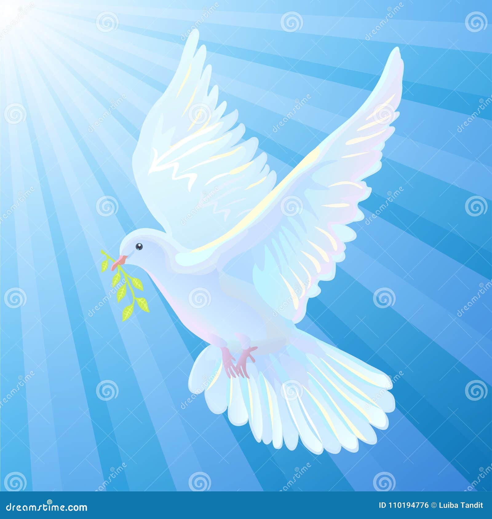 Weiße Taube Ist Das Symbol Eines Friedens, Lichtstrahlen Vektor Abbildung -  Illustration von tageslicht, himmel: 110194776