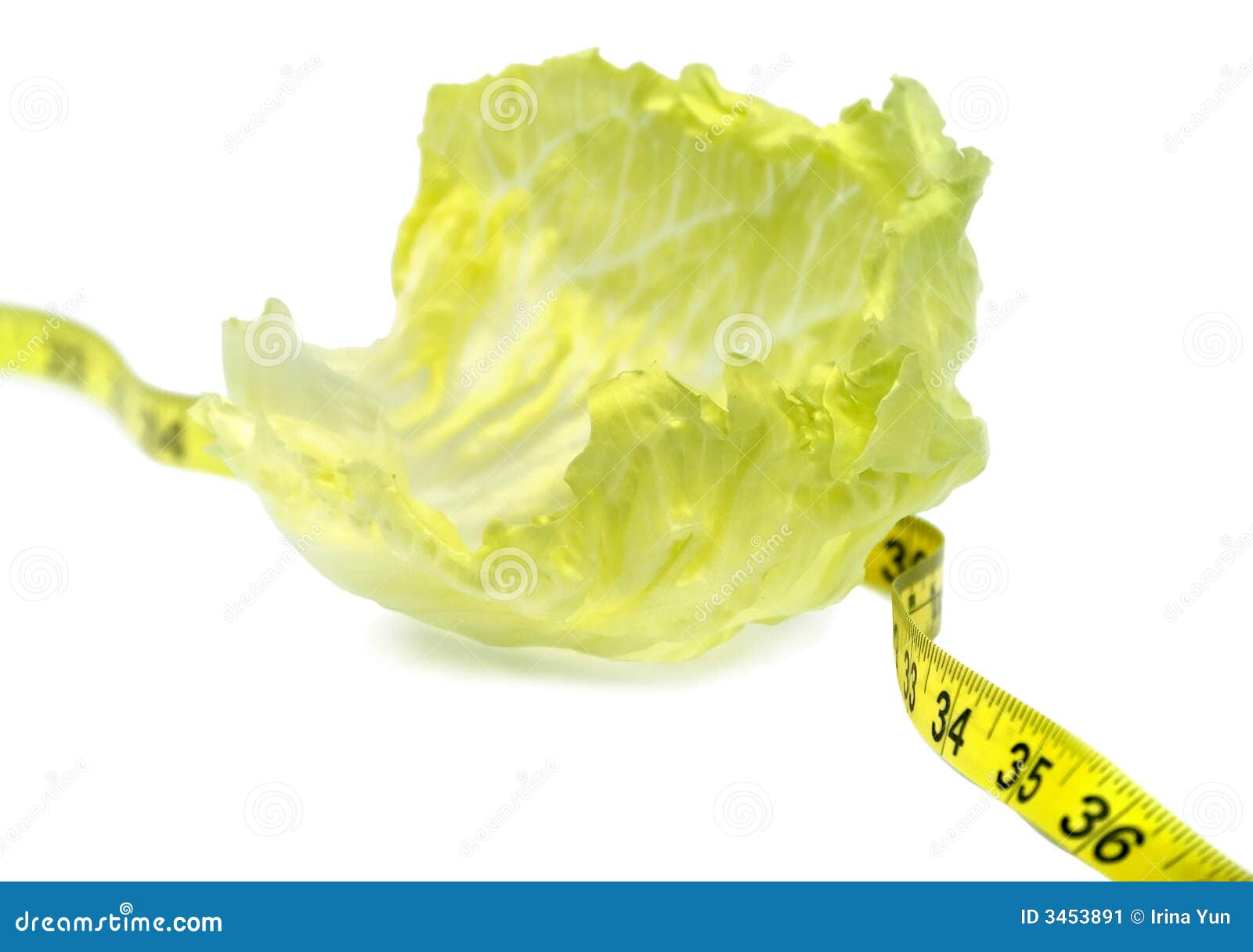 Weight loss lettuce stock image. Image of potherbs, tape 3453891