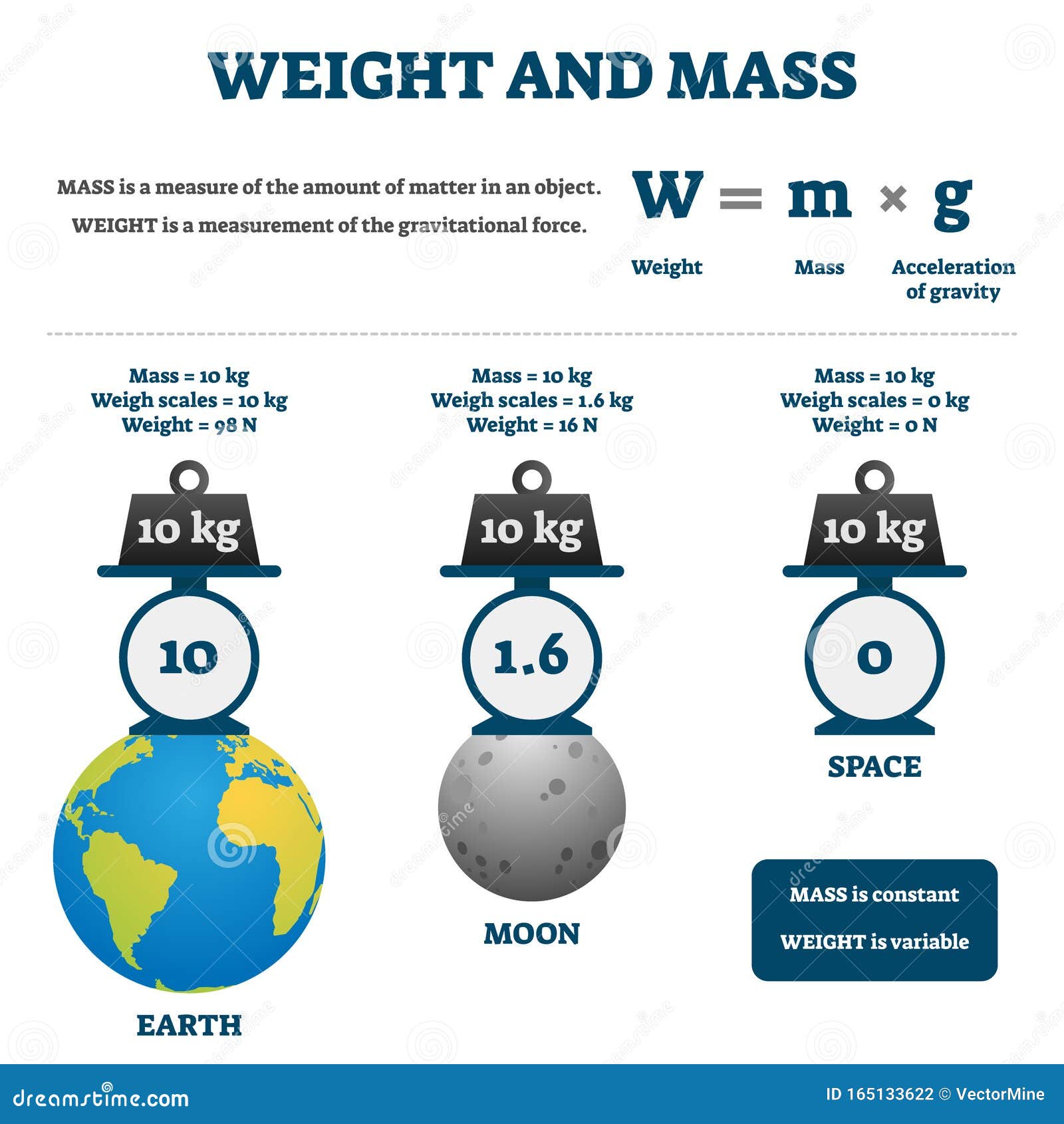 weight and mass  . labeled educational comparison scheme.