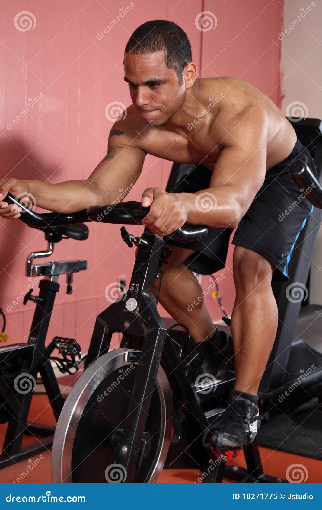Weight trainer at the gym stock image. Image of equipment 10271775