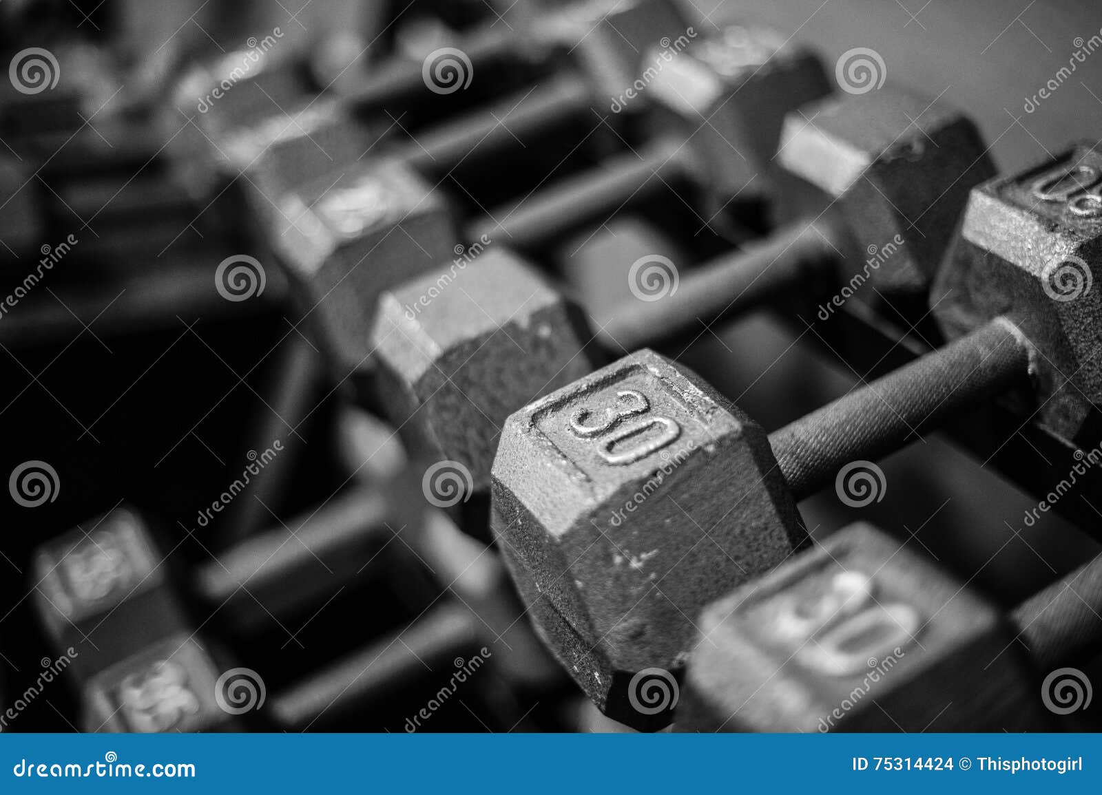 Weights on rack stock photo. Image of diet, barbell, iron 75314424
