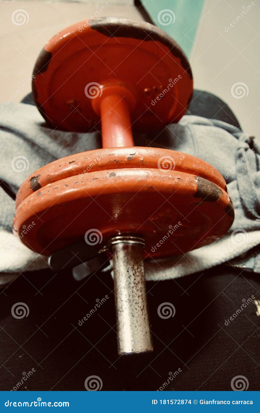 Old gym stock photo. Image of weights, curl, training 181572874