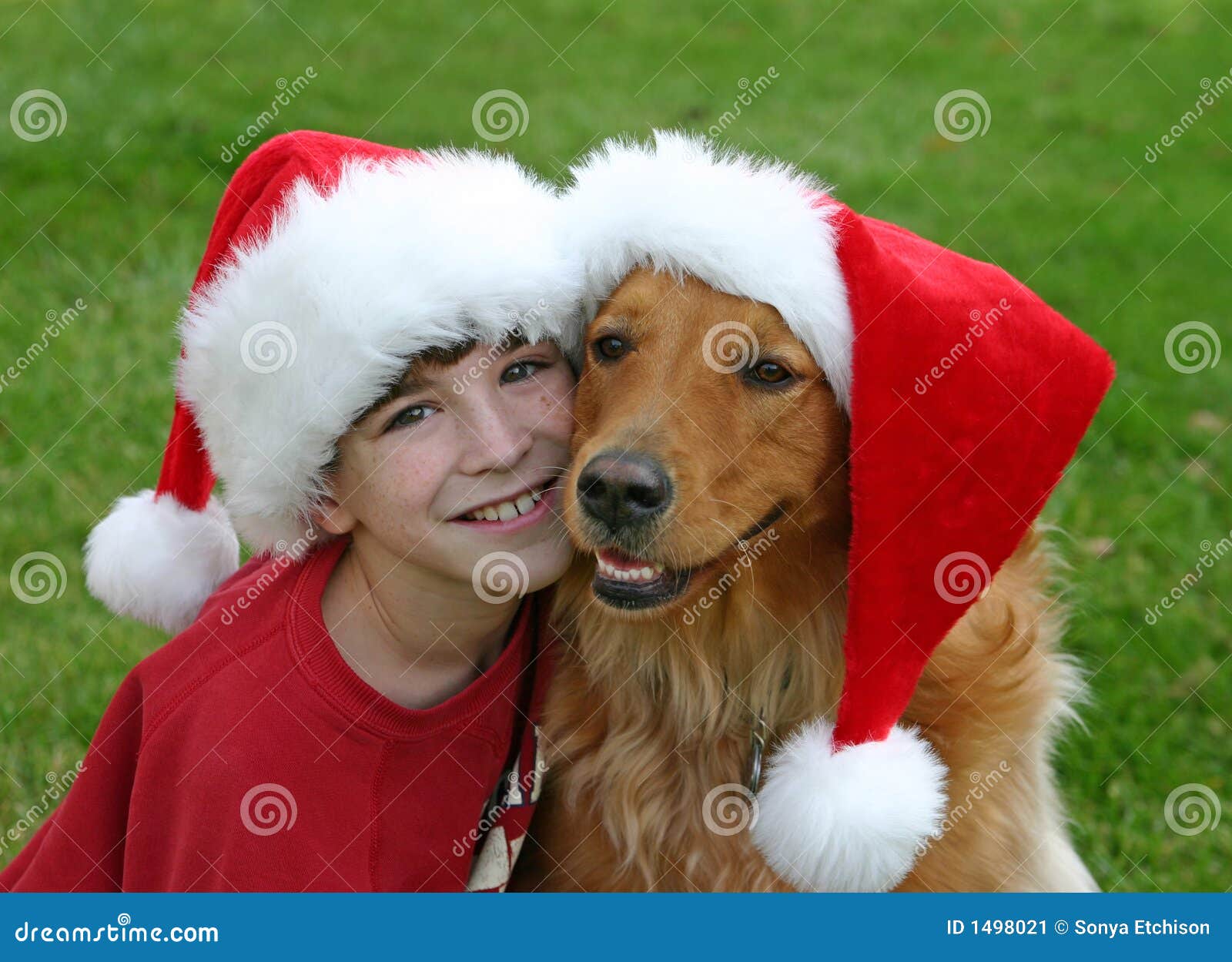 Weihnachten mit dem Hund stockbild. Bild von familie, begleitung 1498021