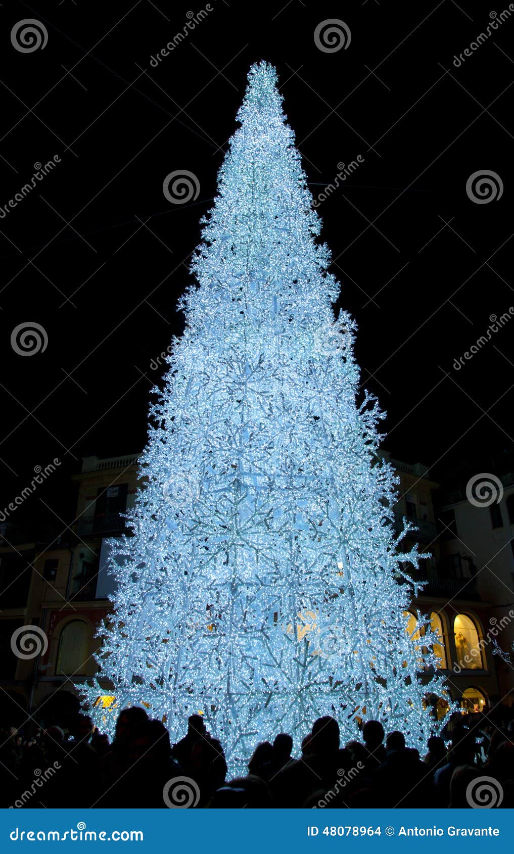 Weihnachtsbaum Beleuchtet Im Blau Stockfoto - Bild Von Traum, Hell: 48078964