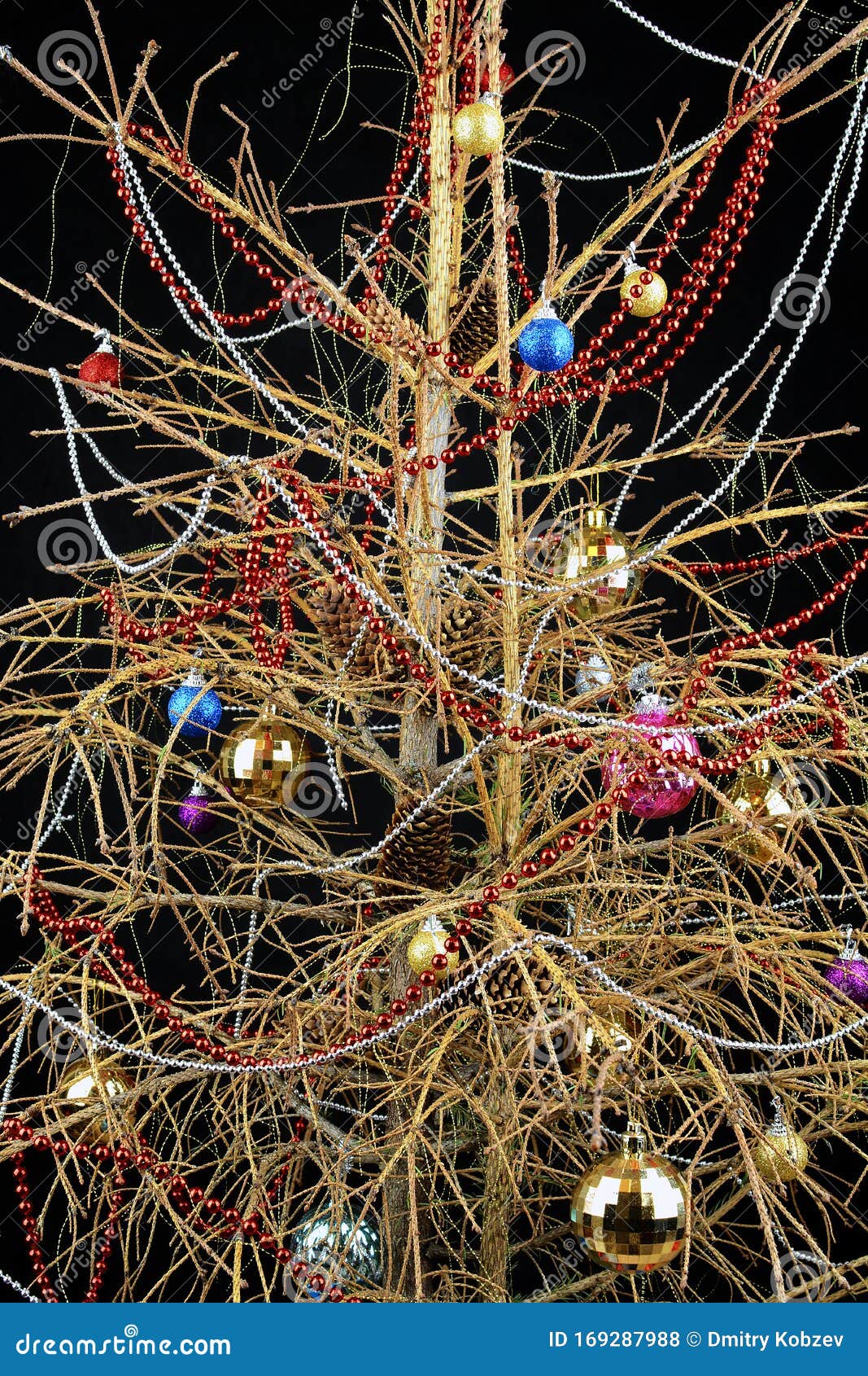Weihnachtsbaum Ohne Nadeln Fotos Kostenlose Und Royalty Free Stock Fotos Von Dreamstime