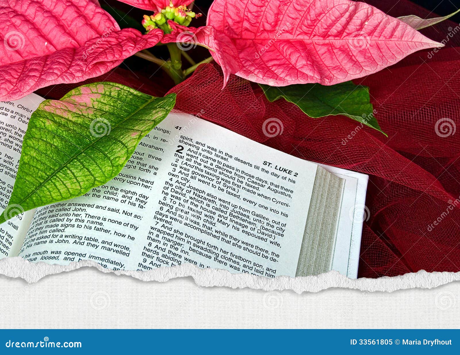 Weihnachtsbibel stockbild. Bild von abbildung, blatt - 33561805